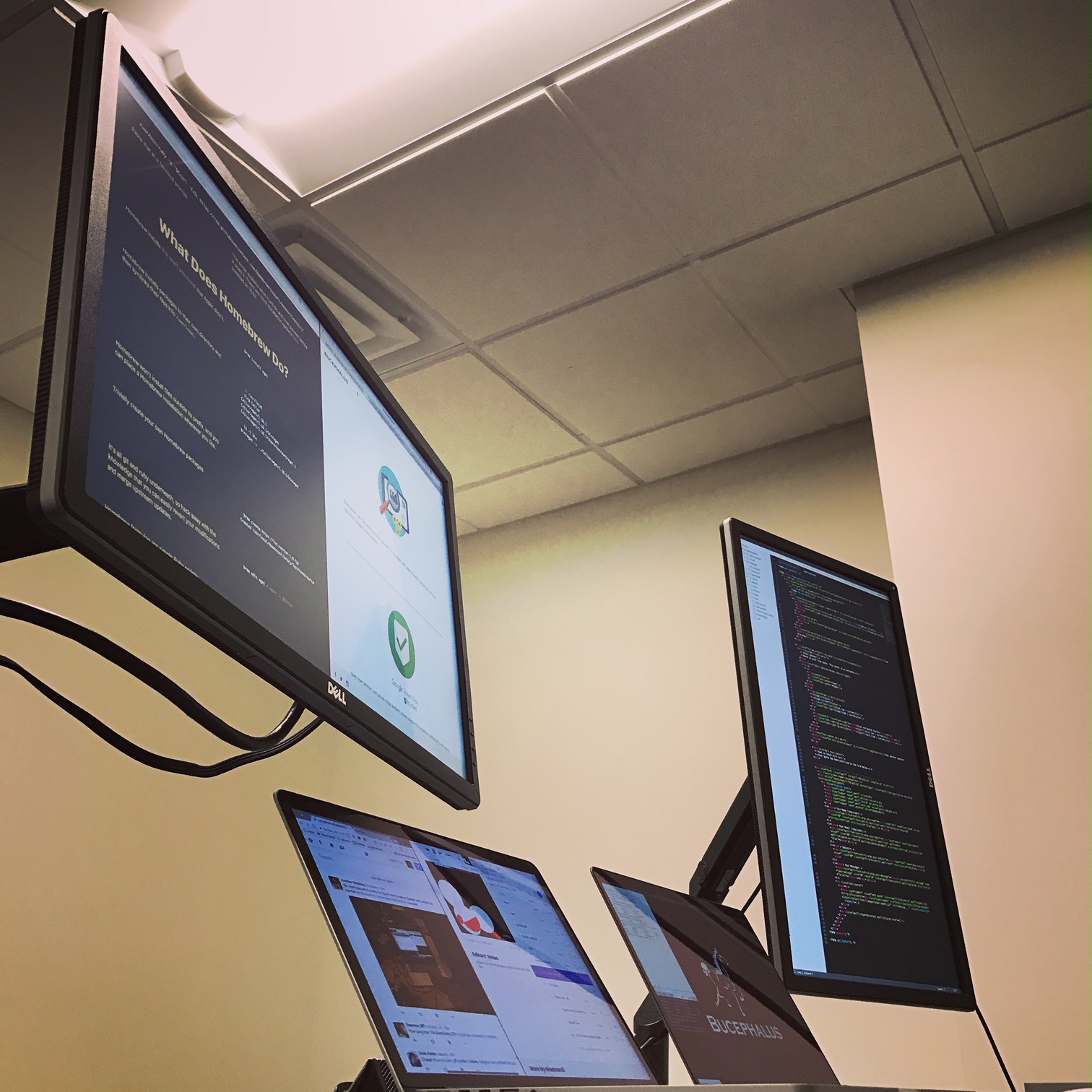 Bucephalus development workstation