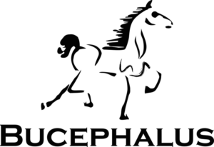 The Bucephalus Web Development company seal and logo.