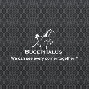 The Bucephalus Web Development designed-logo.